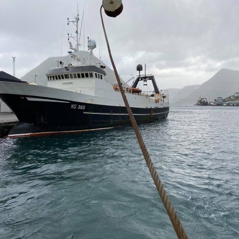 Fuglberg og Skoraberg hava landað gulllaks á Kósini