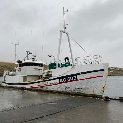 27.000 pund av útróðarfiski eru boðin út á Fiskamarknaðinum