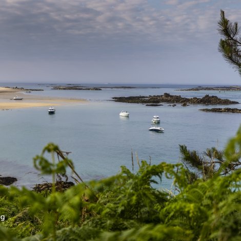 Shell Beach á Herm Island (Mynd: Jens Kr. Vang)