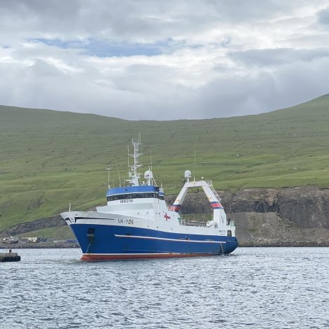 Brestir fer at fiska svartkalva við Eystur-Grønland