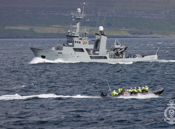 Tjaldrið og løgreglumanning í RIB-báti (Mynd: Paul Watson / Facebook)