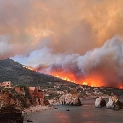 24 fólk deyð í skógareldum í Algeria