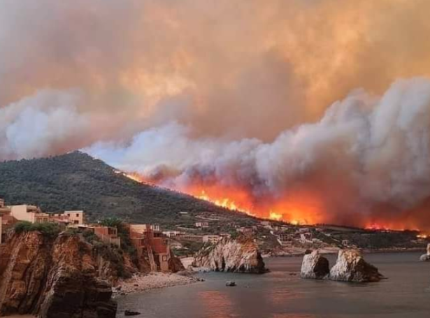 Strandabýurin Jijel í dag (Mynd av Twitter)