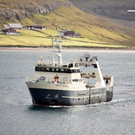 Hamranes og Breiðanes landa í Hvalba í morgin