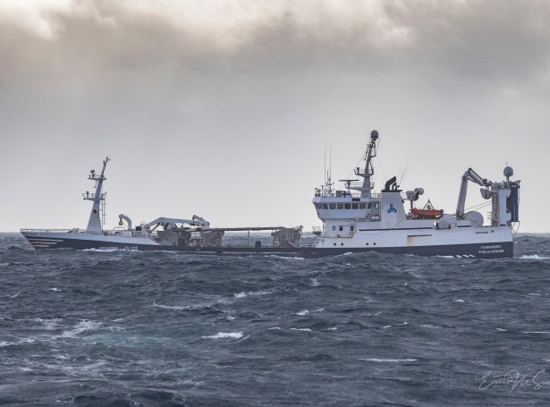 Fagraberg ávegis til Måloy við 1.550 tonsum av makreli (Mynd: EMS Photo)