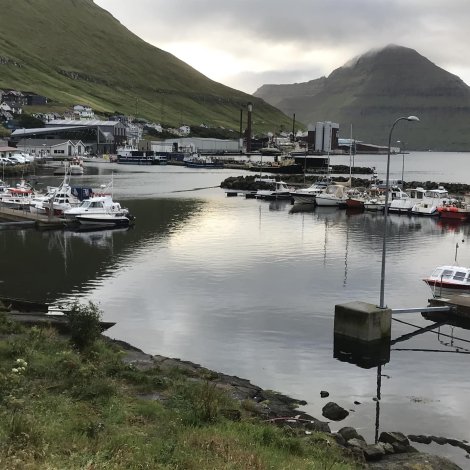 Fuglafjørður dálkaður við lýsi
