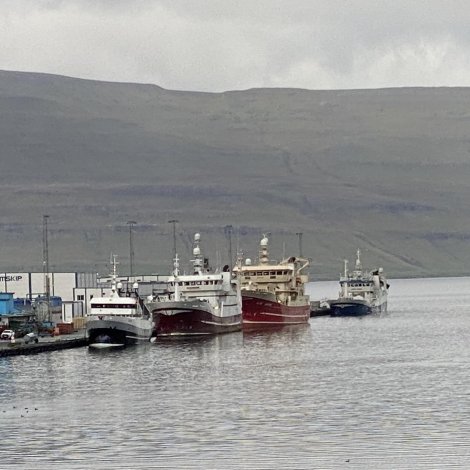 Myndir: Fleiri skip á Kollafirði