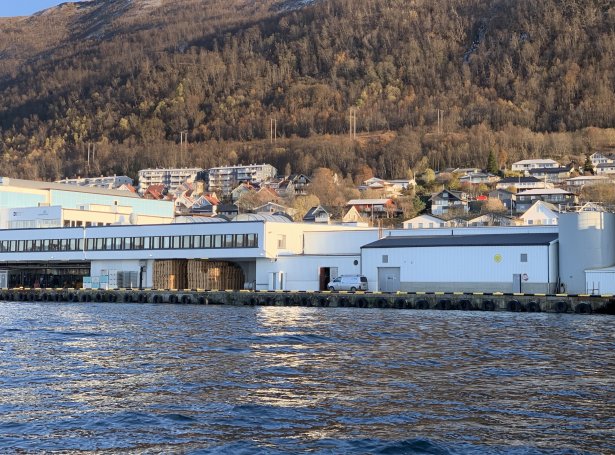 Virkið hjá Pelagia í Tromsø (Mynd: Pelagia)