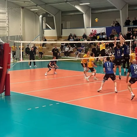 Frá evropeiska dystinum millum Mjølnir og Numidia VC Limax LINNE herfyri