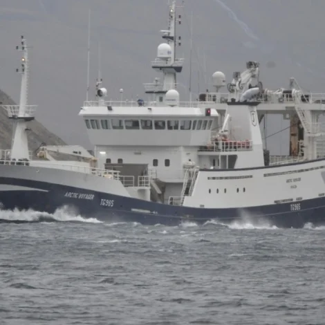 Arctic Voyager skal landa sild í Hvalba og til Pelagos