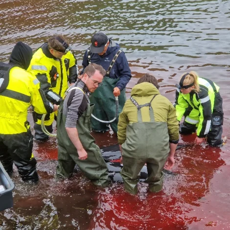 PhD skeið um havklima og vistskipanir var væleydnað