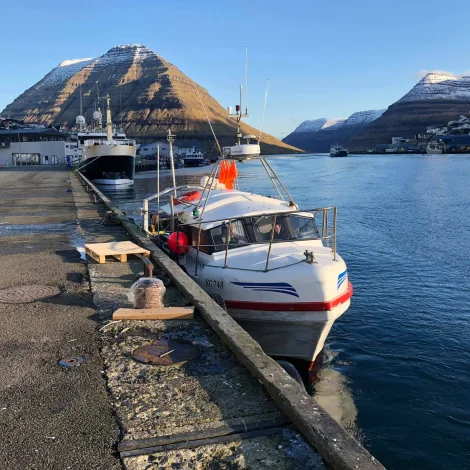 Nakrir útróðrarbátar selja á Fiskamarknaðinum