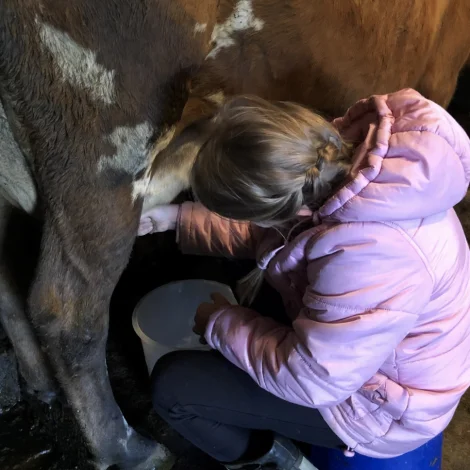 Verkætlanir ið skulu økja tilvitskuna um føroyska matframleiðslu