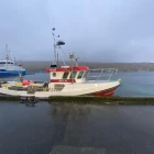 Nakrir útróðrarbátar selja á Fiskamarknaðinum