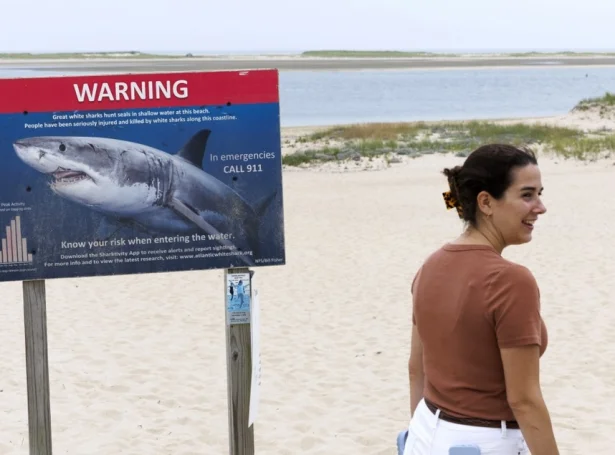 Myndin er frá Cape Cod í Massachusetts í summar (Mynd: EPA)