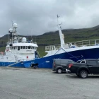 Eivind selir 130 tons á Fiskamarknaðinum