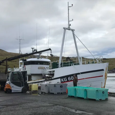 4 útróðrarbátar selja á Fiskamarknaðinum kl 10 í morgun