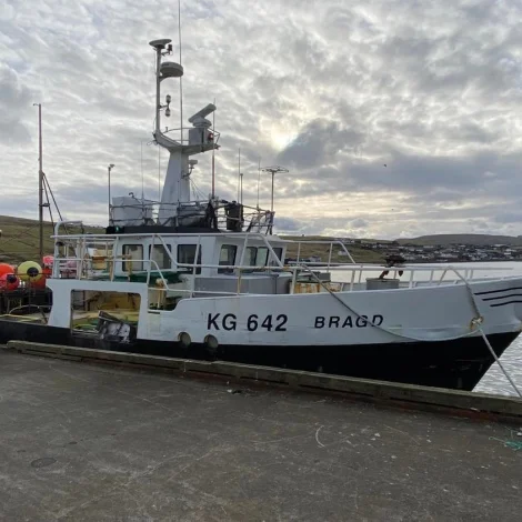 Nógvir útróðrarfiskur er boðin út á Fiskamarknaðinum