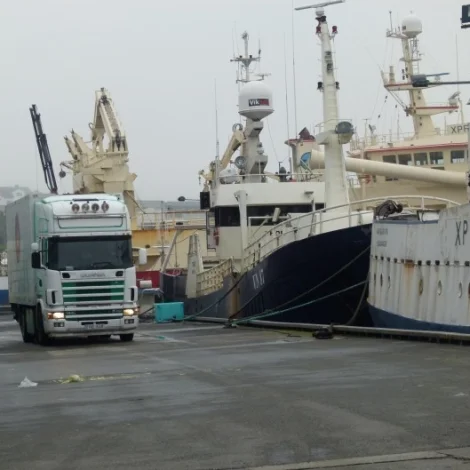 Garnaskipini Thor og Túgvusteinur landa í Havn