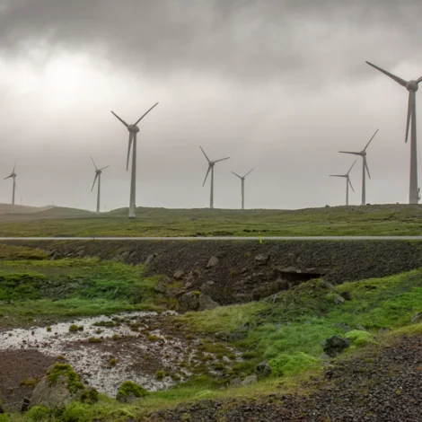 Tað almenna má skapa betri møguleikar fyri burðardygga framleiðslu