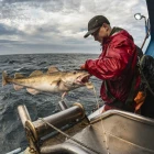 Ísland og Føroyar samdir um fiskiveiðuavtalu fyri komandi ár