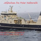 Jólaheilsan frá Polar Nattoralik