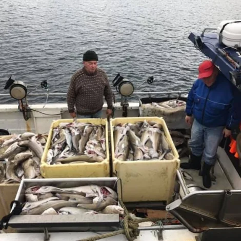 5 útróðrarbátar selja á Fiskamarknaðinum