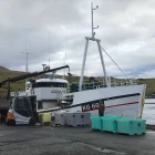 Teir smærru línubátarnir hava góðan fiskiskap