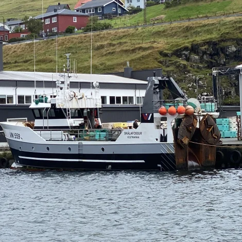 Skálafossur landar til Snarfrost