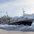 Grønlendski trolarin Tasiilaq landar á Fáskrúðsfirði