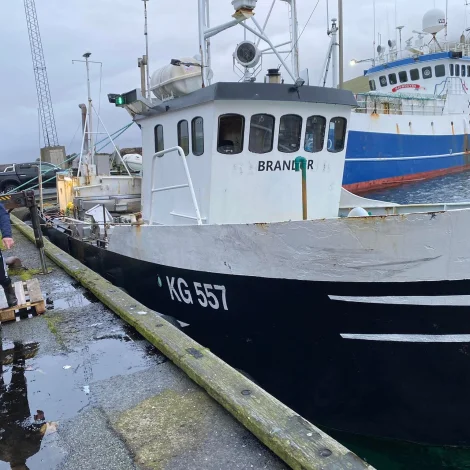 Tveir útróðrarbátar selja á Fiskamarknaðinum