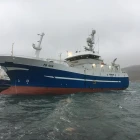 Vesturhavið selir 52 tons á Fiskamarknaðinum