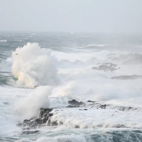 Forsøgn frá Veðurstovu Føroya