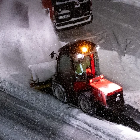 - Hósdagin kemur kavin