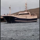 Sandshavið selur 54 tons á Fiskamarknaðinum