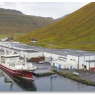 Faroe Pelagic eitur nú Pelagos Kollafjørður