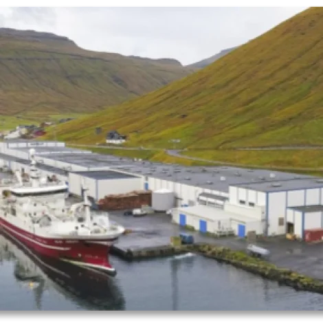 Faroe Pelagic eitur nú Pelagos Kollafjørður