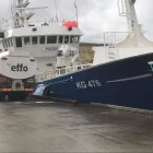Pison bjóðar 57 tons út á Fiskamarknaðinum