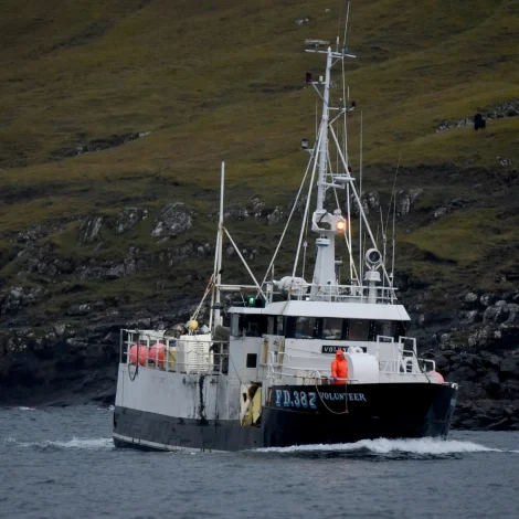 Volunteer hevur landað á Toftum