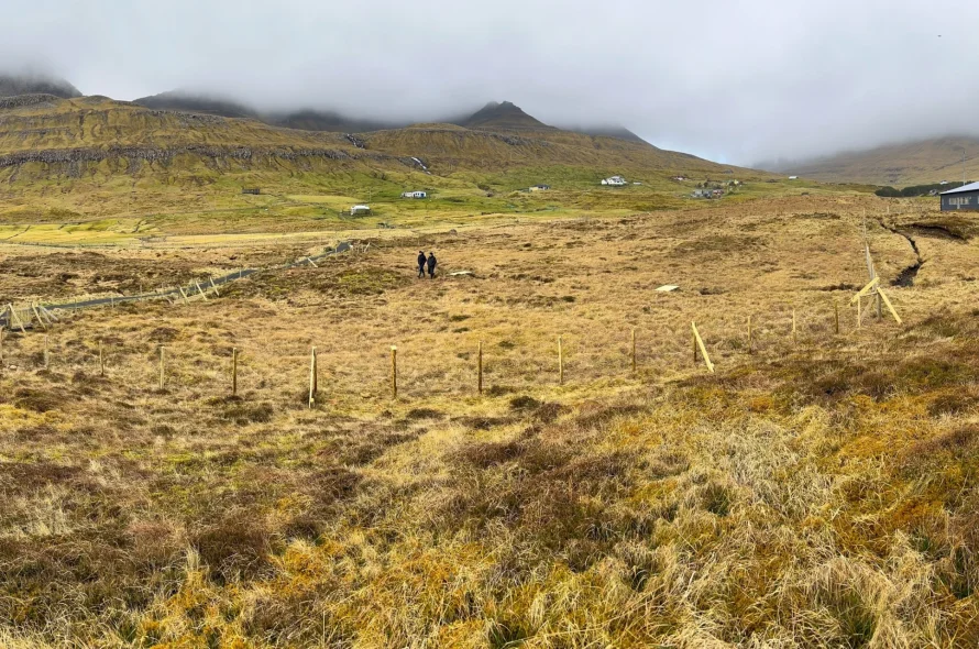 jn.fo HUNDAFRÍØKIÐ VIÐ STÓRÁ SKJÓTT TIKIÐ Í NÝTSLU
