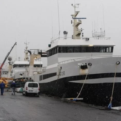 Stjørnan og Polarhav landa gulllaks á Kósini