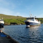 Fuglberg og Skoraberg landa gulllaks í Klaksvík