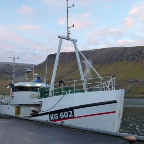 Nakrir útróðrarbátar selja á Fiskamarknaðinum