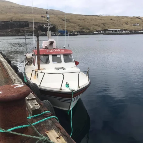 Nakrir útróðrarbátar selja á Fiskamarknaðinum