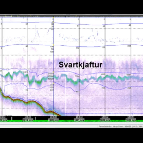 Svartkjaftakanningar sunnanfyri