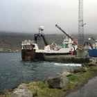 Fuglberg og Skoraberg hava landað á Kósini