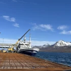 Arctic Voyager landar svartkjaft í Íslandi