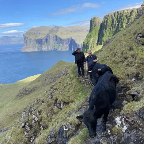 Myndir: Hava verið við tarvum á Víkum