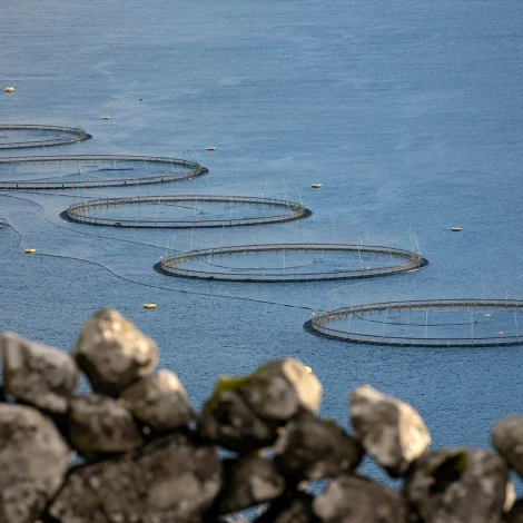 Yvirskotið á gjaldsjavnanum 1,5 mia. kr. í miðal frá 2018 til 2022