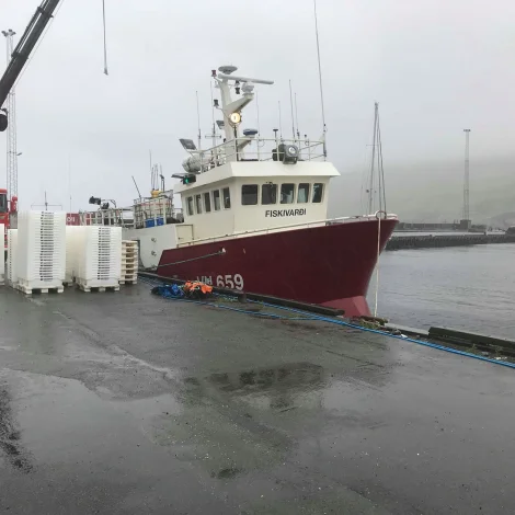 Fiskivarði landar á Toftum